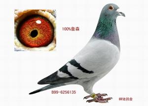 ����Ŵ�
