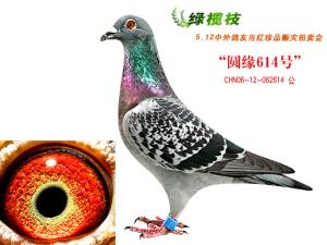 ����Ŵ�