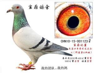 ����Ŵ�