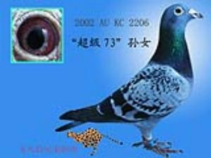 ����Ŵ�