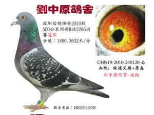 ����ԭ����