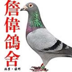 ����Ŵ�
