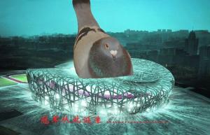����Ŵ�