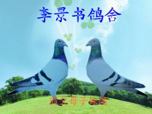 ����Ŵ�