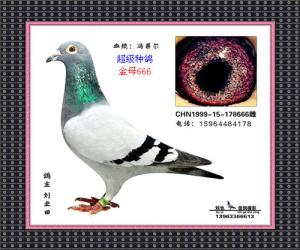 ����Ŵ�