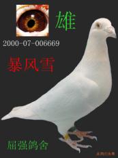 ����Ŵ�