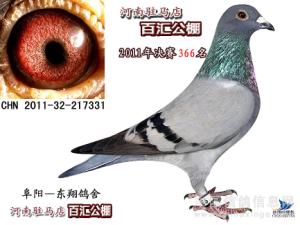 ����Ŵ�