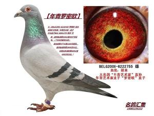 ����Ŵ�