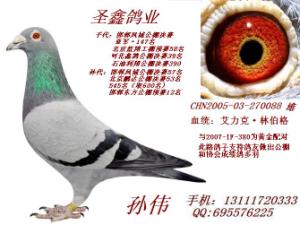 ����Ŵ�