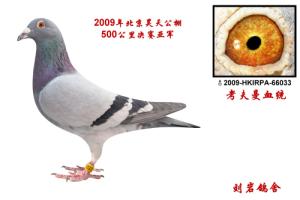 ����Ŵ�