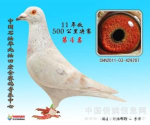 20120806200921.jpg