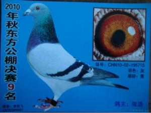 ����Ŵ�