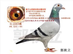 ����Ŵ�
