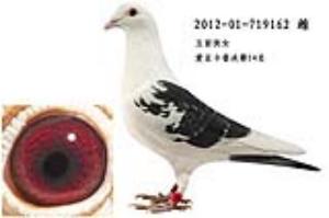 ����Ŵ�