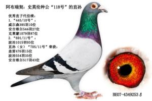����Ŵ�