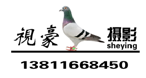 ����Ŵ�