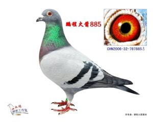 ����Ŵ�