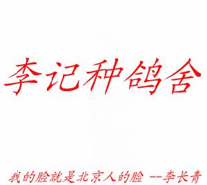 ����Ŵ�