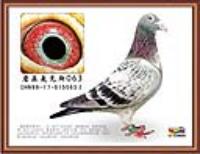 ̫ԭ�������������