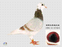 ����Ŵ�
