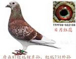 20131109125009.jpg