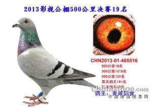 ����Ŵ�