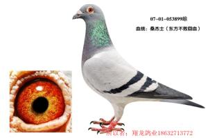 ����Ŵ�