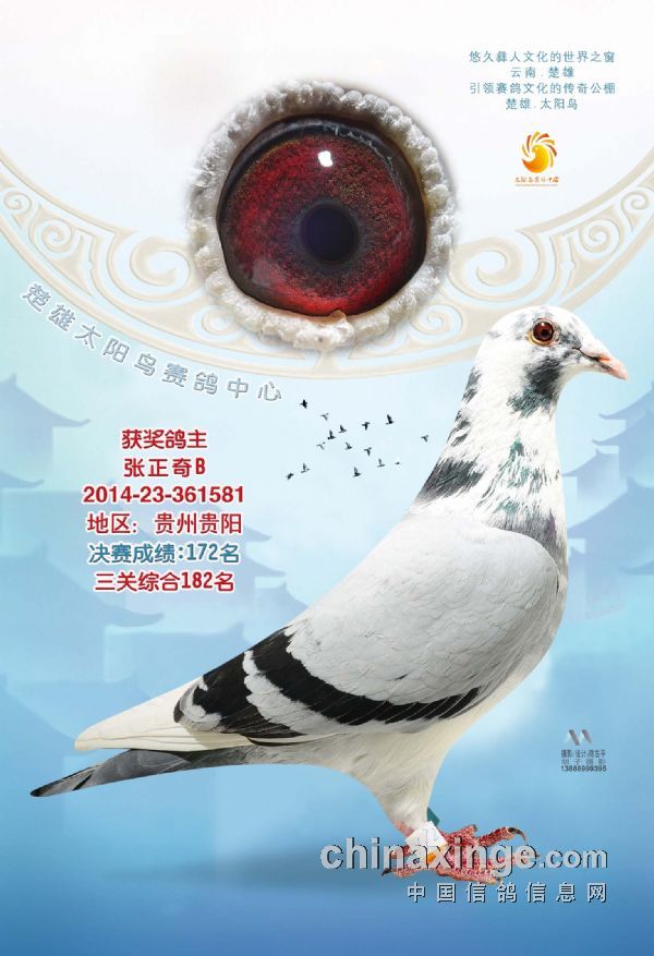 2014年太陽鳥公棚決賽11名-300名照片欣賞