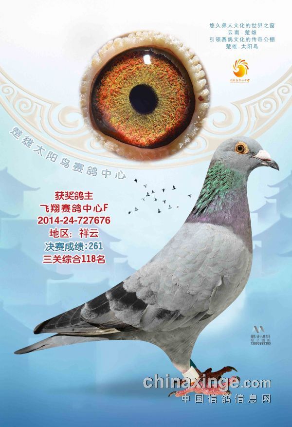 2014年太陽鳥公棚決賽11名-300名照片欣賞