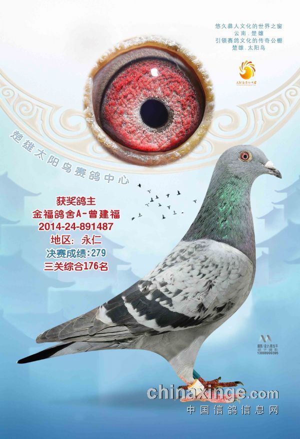 2014年太陽鳥公棚決賽11名-300名照片欣賞