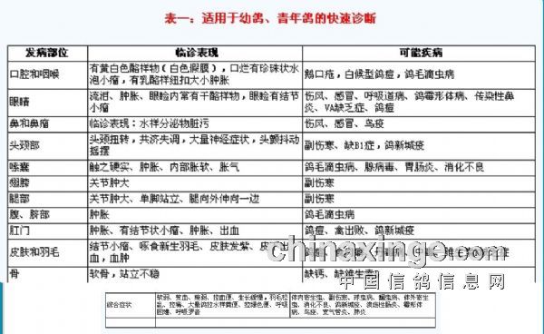 信鴿疾病快速診斷及治療對照表