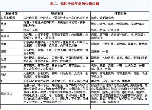 信鸽疾病快速诊断及治疗对照表