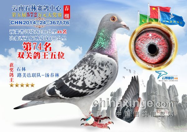 云南石林赛鸽中心春棚图片