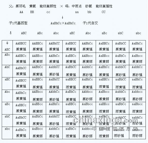 自交符号图片