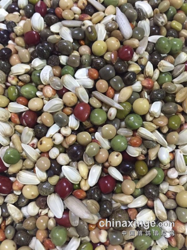 鸽粮-天津佳翔信鸽用品有限公司-中信网各地鸽舍