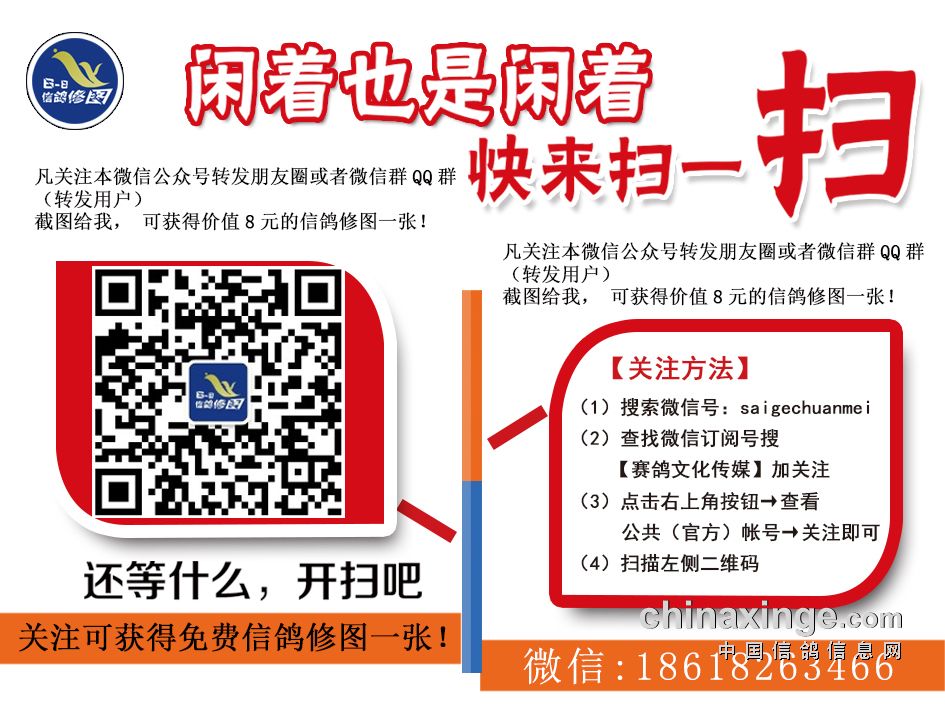 免费信鸽修图一张