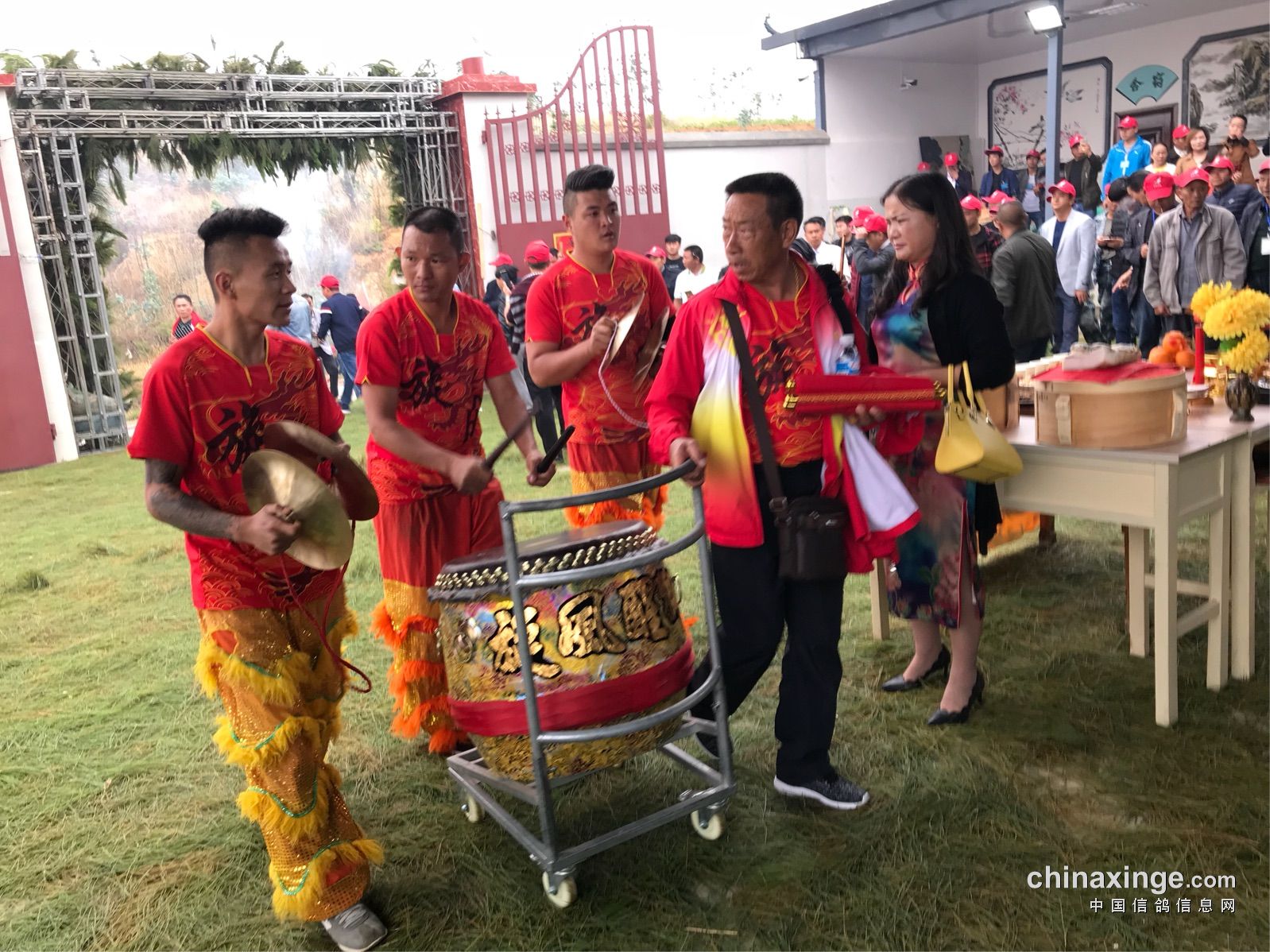 热烈祝贺大理祥云彩云赛鸽中心春棚