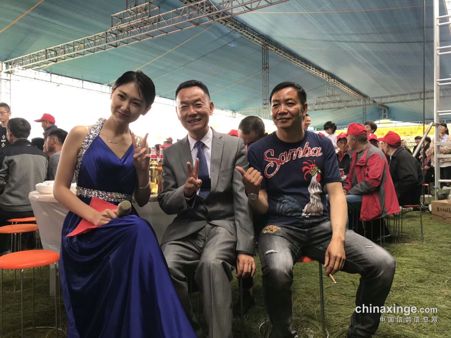 热烈祝贺大理祥云彩云赛鸽中心春棚