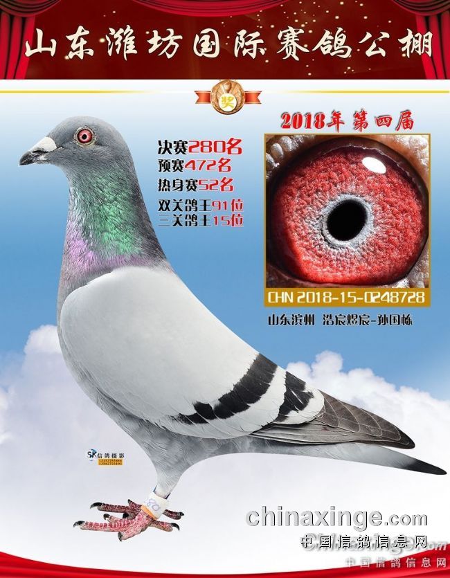 2018年山东潍坊国际公棚参赛获奖鸽