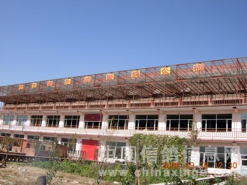 呼和浩特城外诚公棚决赛现场-飞鸿鸽舍-中信网各地鸽舍