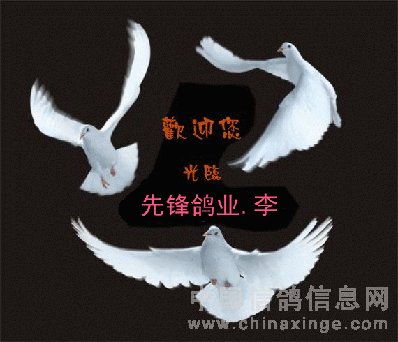 点击放大