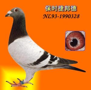 ����Ŵ�