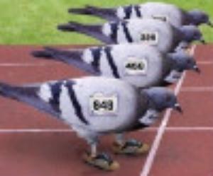 ����602����