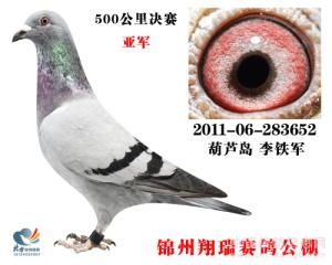 ��«����������