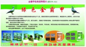 ����Ŵ�
