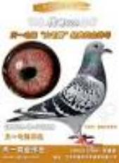 ������һ��Է