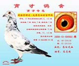 ���Ÿ���