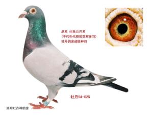 ����Ŵ�