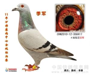 ���������Է